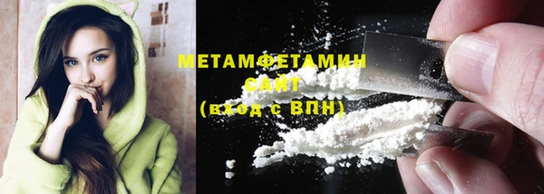 прущие грибы Волоколамск