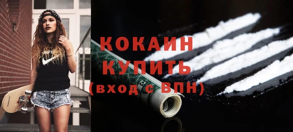 дурь Бородино