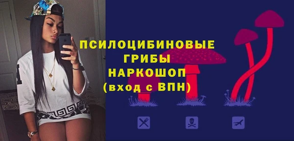 ешки Вяземский