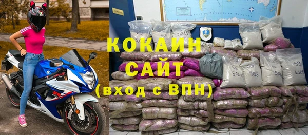 прущие грибы Волоколамск