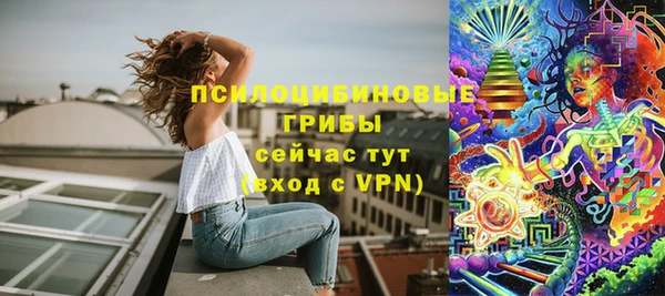 ешки Вяземский