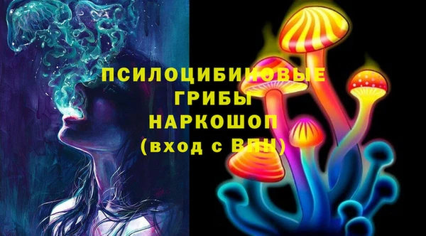 ECSTASY Вязьма