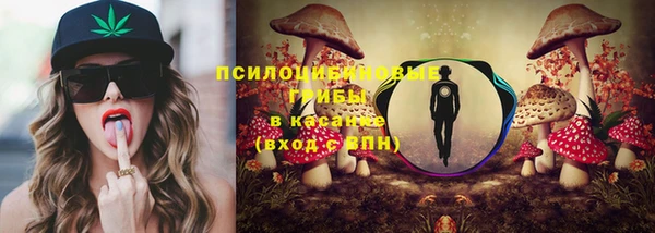 ECSTASY Вязьма