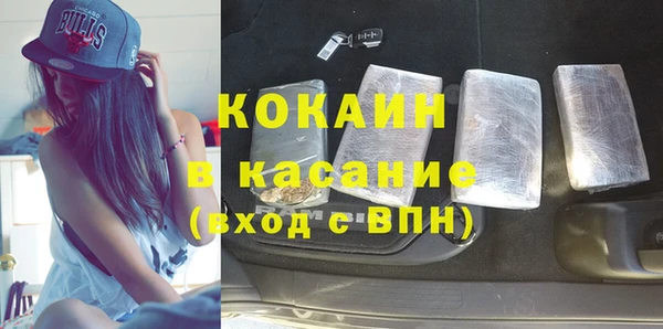 прущие грибы Волоколамск