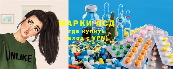 прущие грибы Волоколамск
